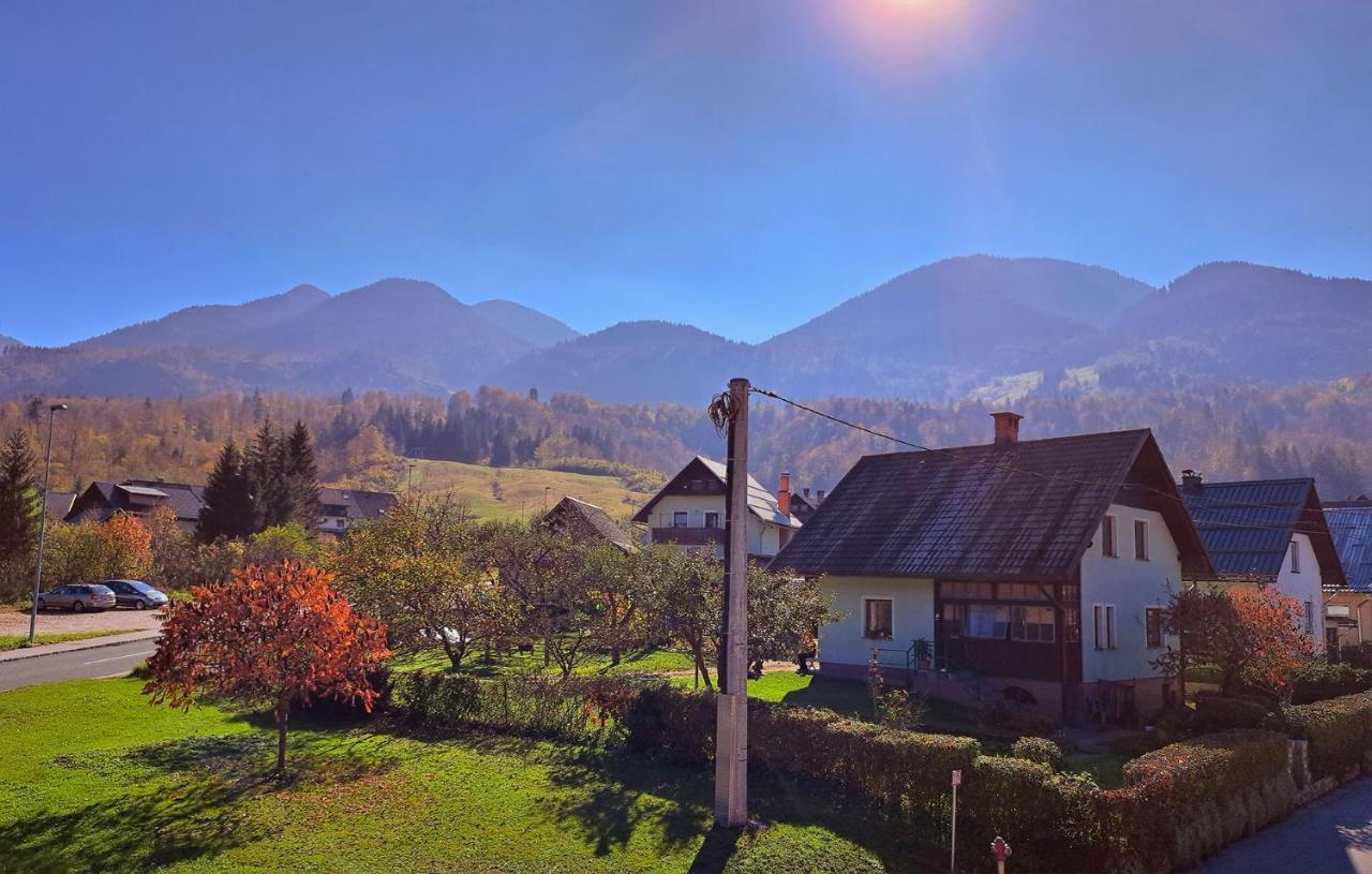Apartmaji Alpski Cvet - Hisa Gorenc Bohinj Exterior photo