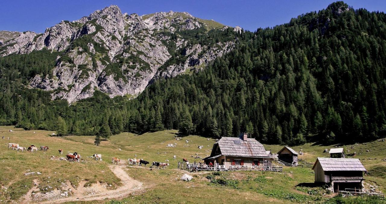 Apartmaji Alpski Cvet - Hisa Gorenc Bohinj Exterior photo
