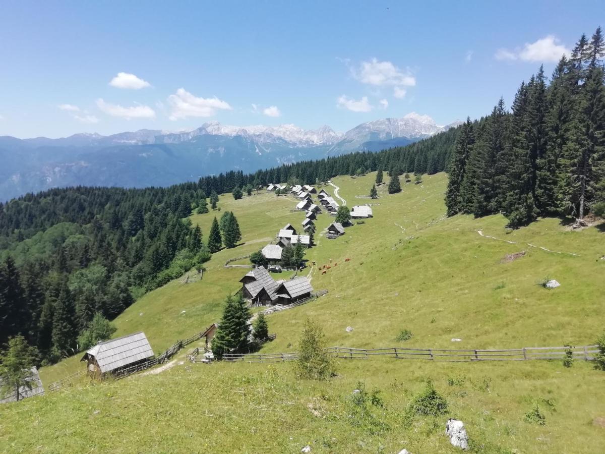 Apartmaji Alpski Cvet - Hisa Gorenc Bohinj Exterior photo